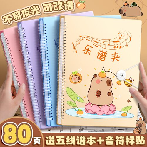 A4谱夹册展开式可修改不反光