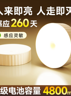 人体感应小夜灯卧室床头充电款