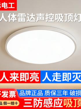 国际电工入户声光控灯雷达自动人体感应小尺寸吸顶灯走廊过道楼梯