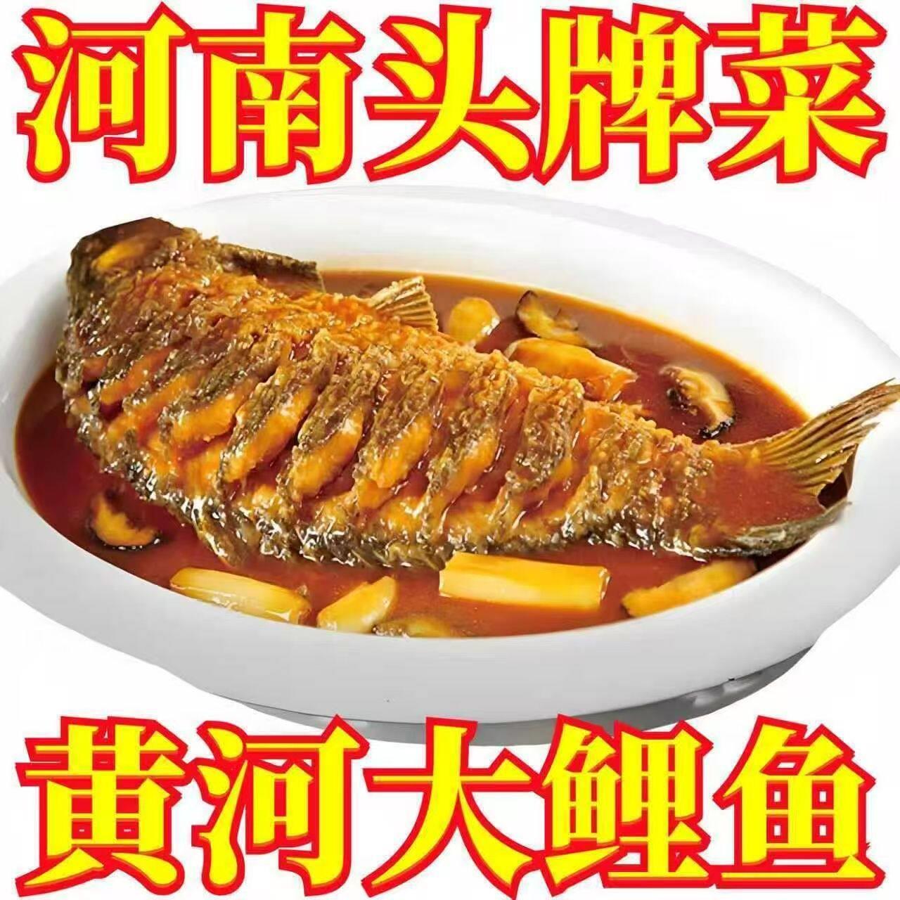 正宗黄河大鲤鱼开袋即食预制菜下酒菜麻辣红烧饭店酒席年夜饭熟食