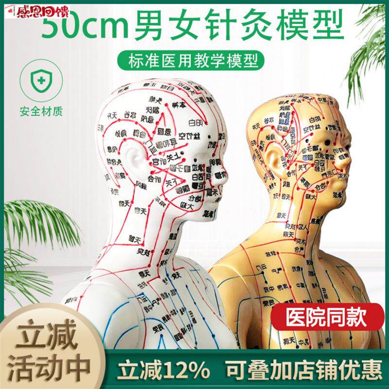 超清人体针灸穴位模型经络通铜人刻字中医f教学人体模型男女小
