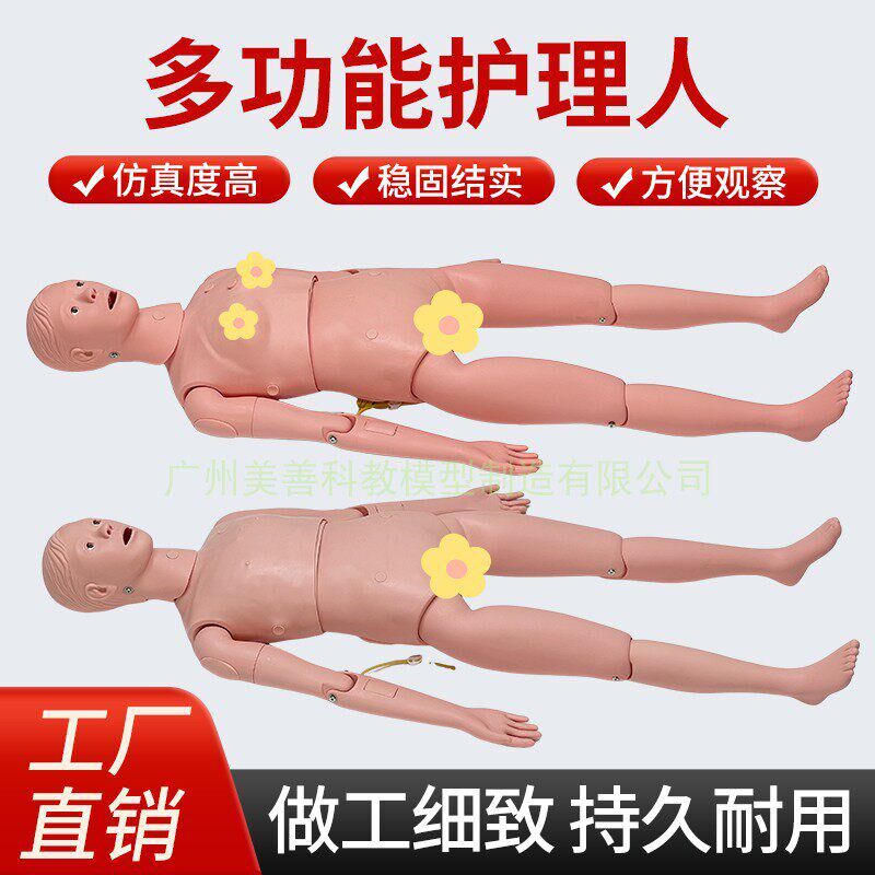高级男女性护理人体模型 灌肠 插尿管 医学导尿S技能操作护理模特