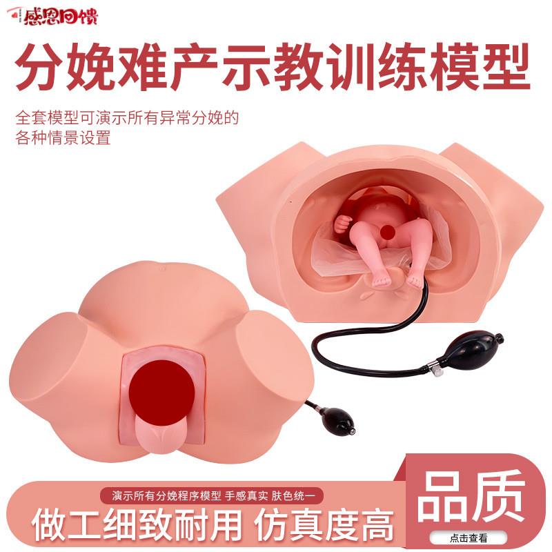 分娩示教模型 高级助产示教训练模v型 妇产科难产助产分娩教学模