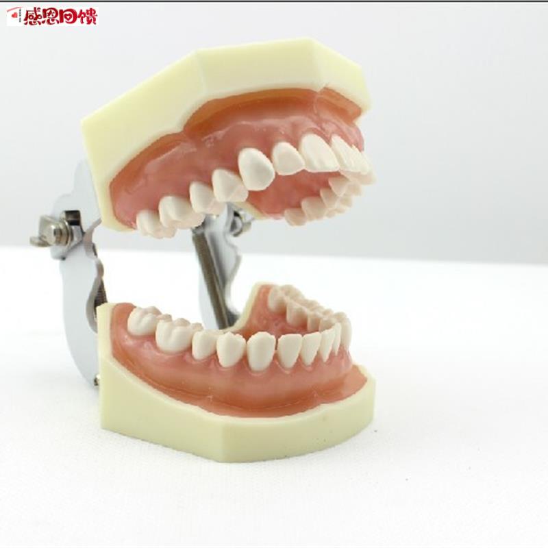 颐诺正品口腔修复模型齿科备牙体窝洞制备V排龈仿真离体牙执业