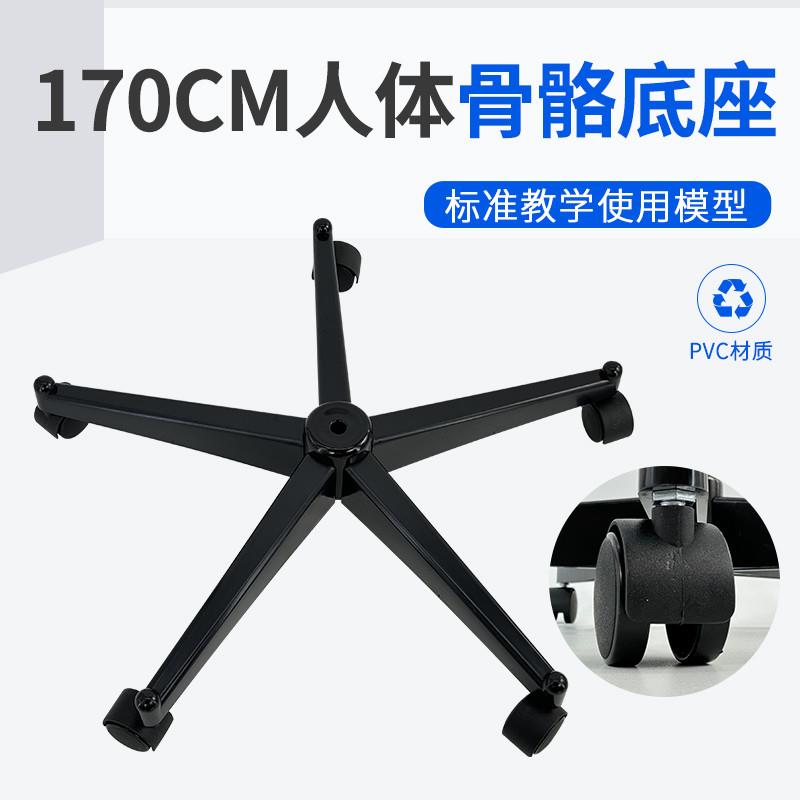 170cmv人体大骨骼模型配套的底座 黑色 塑料底座及支架 铁