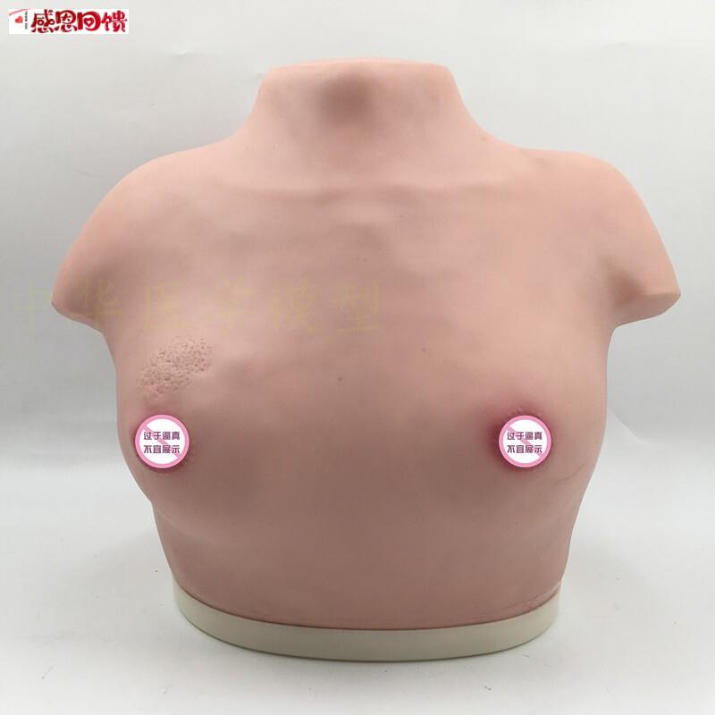 女性乳房乳腺检查模型 高级乳腺视诊与触诊x模型医学临床教学模