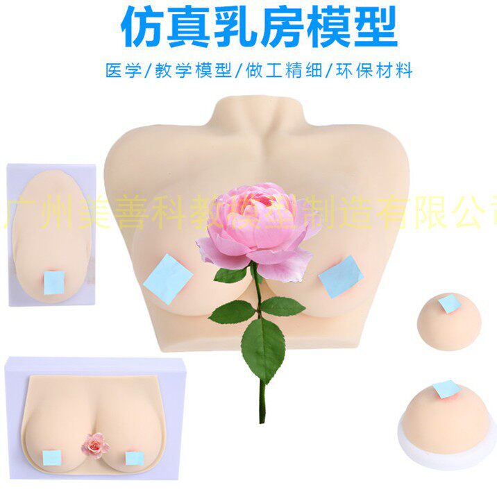 催乳师培训模具催乳模型高级乳y房模型仿真乳房教学用具哺乳期乳