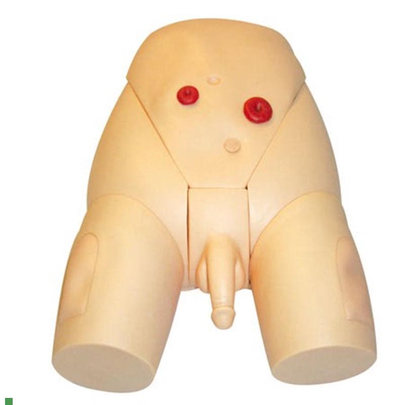 高级整体男性导尿模型人体导尿模型男女性导尿模V型导尿示教模型