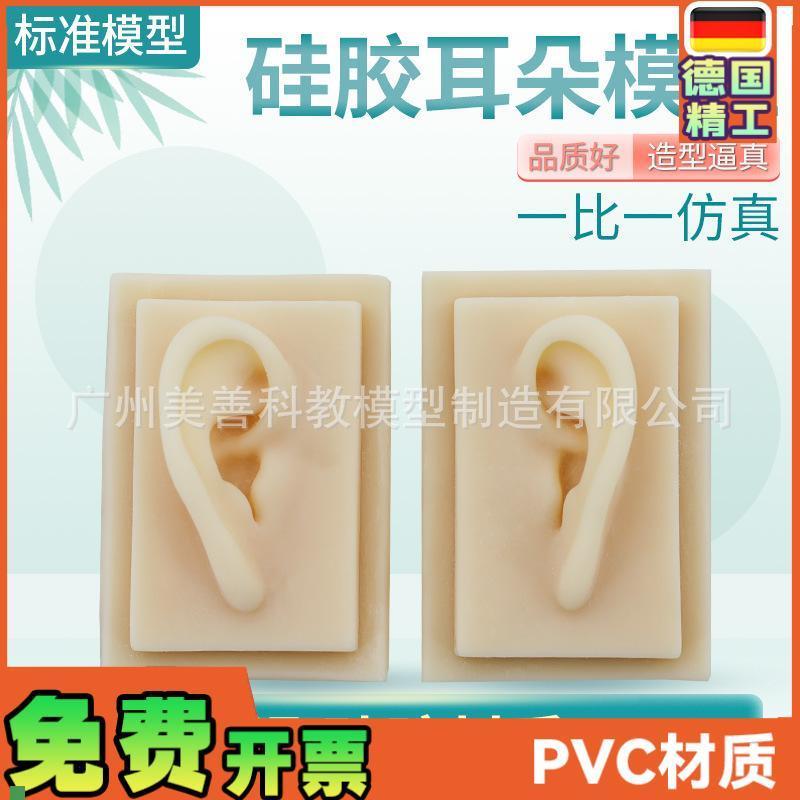 成人11仿真耳朵模型人t体耳朵耳膜型硅胶针灸耳朵(右耳)