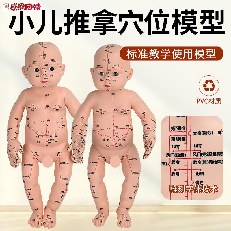 婴儿人体模型e儿童娃娃人体模型针灸中医通用穴位小儿推拿仿真模