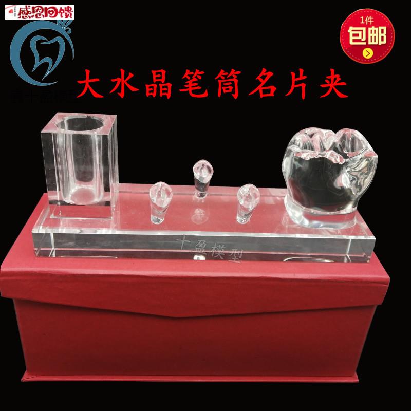 牙科摆件办公室摆件 T高端水晶名片夹 笔筒放置架牙齿形状摆件包