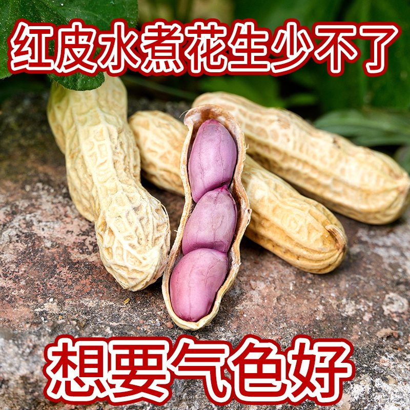 浠涵家广东岩盐水煮咸干花生