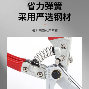 厂家直销园林工具果树嫁接摘果剪粗枝园艺剪刀疏枝 果枝剪
