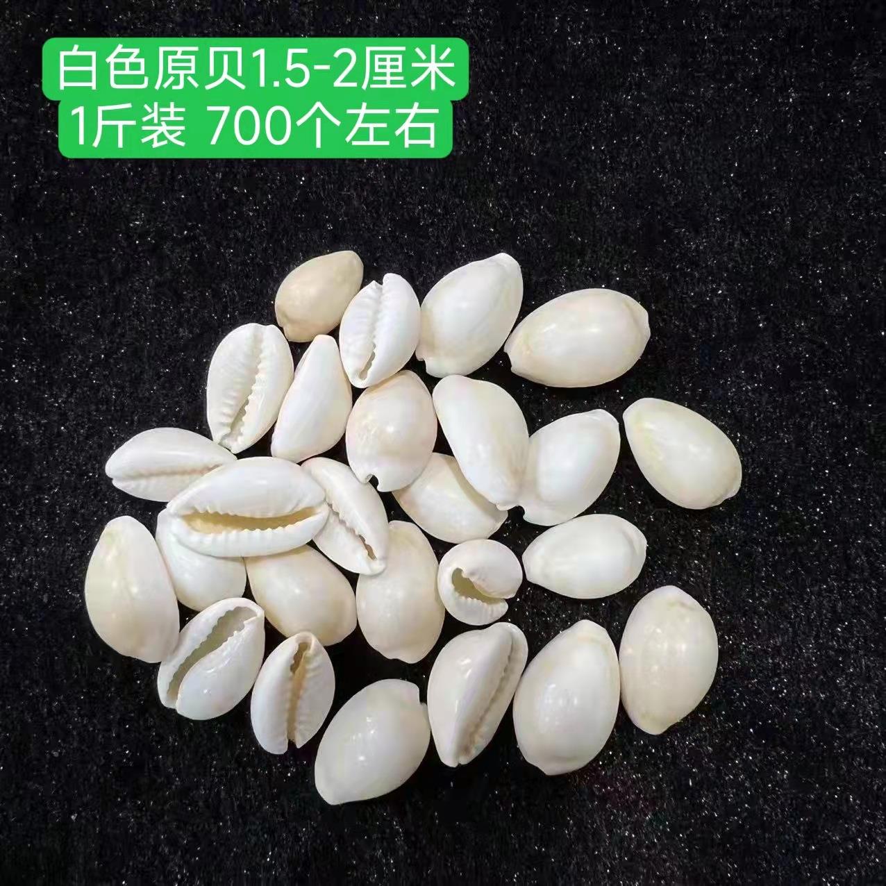 米小海螺壳材螺手贝工配件装饰料地中海按斤海星小海螺.