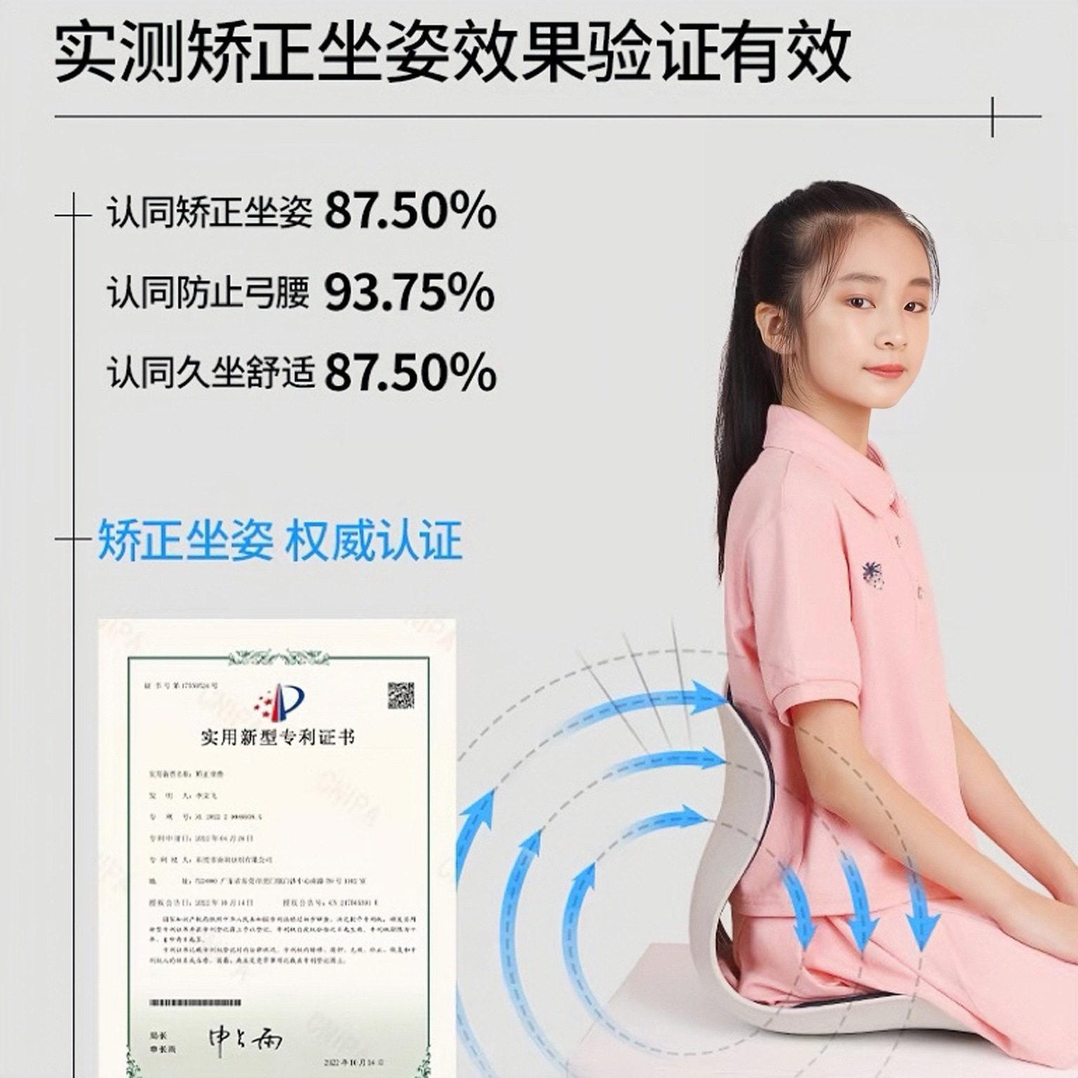 思菲其腰久坐垫神器坐垫公室椅垫靠坐一体矫护姿美臀ZD111/ZD人体