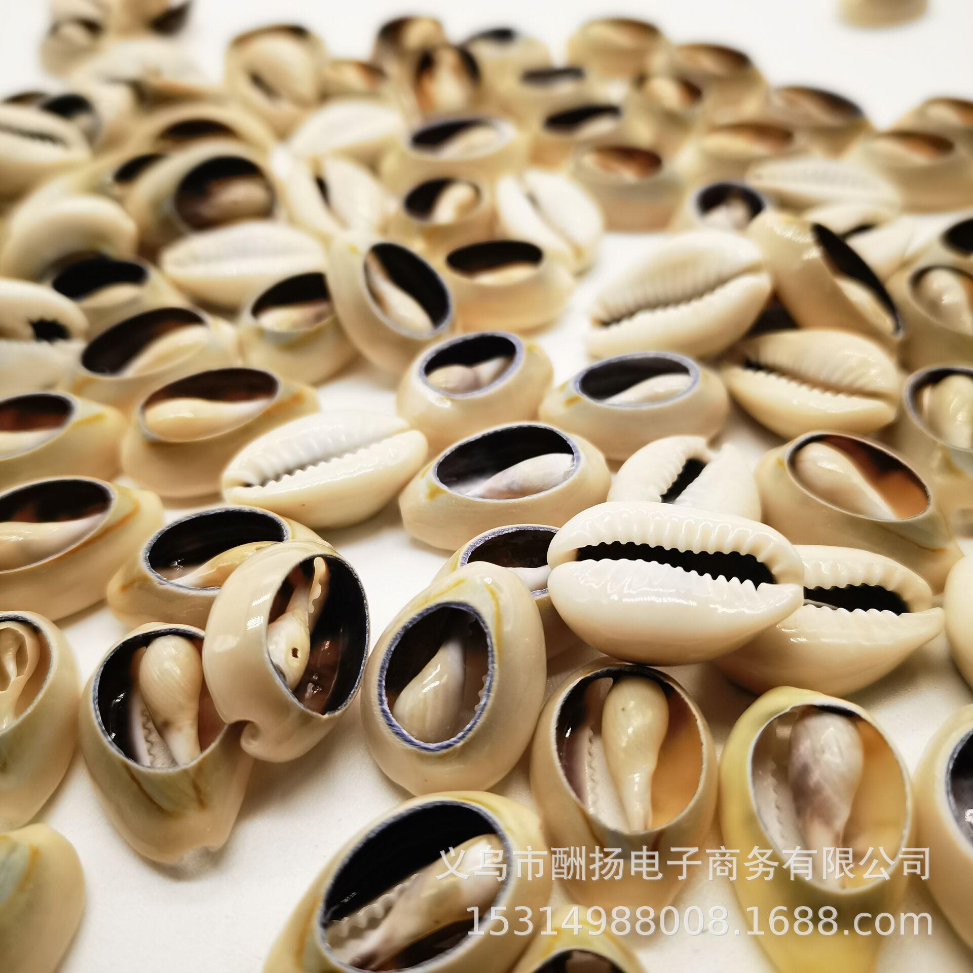金边贝壳海螺白币金边贝壳片DIY量手项草编服切装链饰品材料 大联