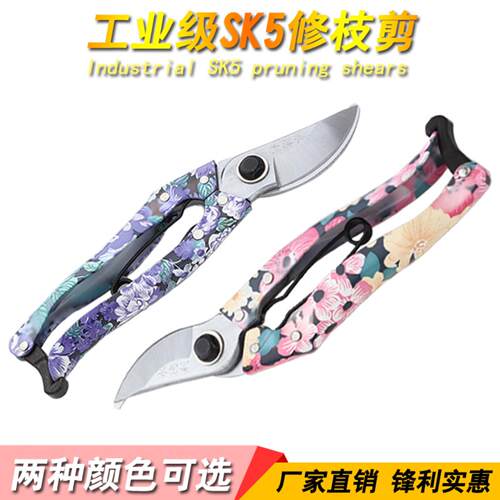 树枝剪修枝剪刀粗枝剪花剪修剪