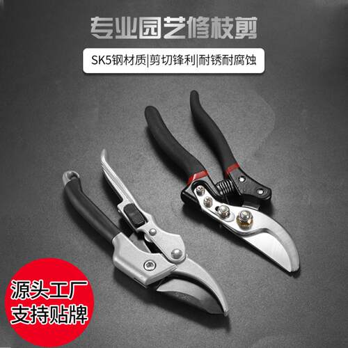 家用粗枝剪园林工具修枝剪刀园艺
