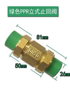 PPR202532405p063卧式止回阀单向阀防倒流阀逆止阀绿色立式止回阀