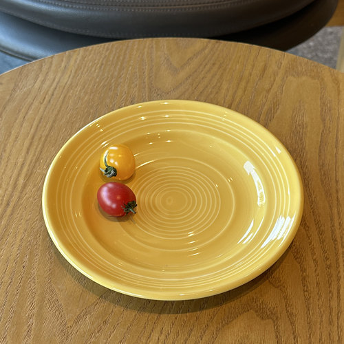 TUXTON多巴胺釉下彩陶瓷餐盘