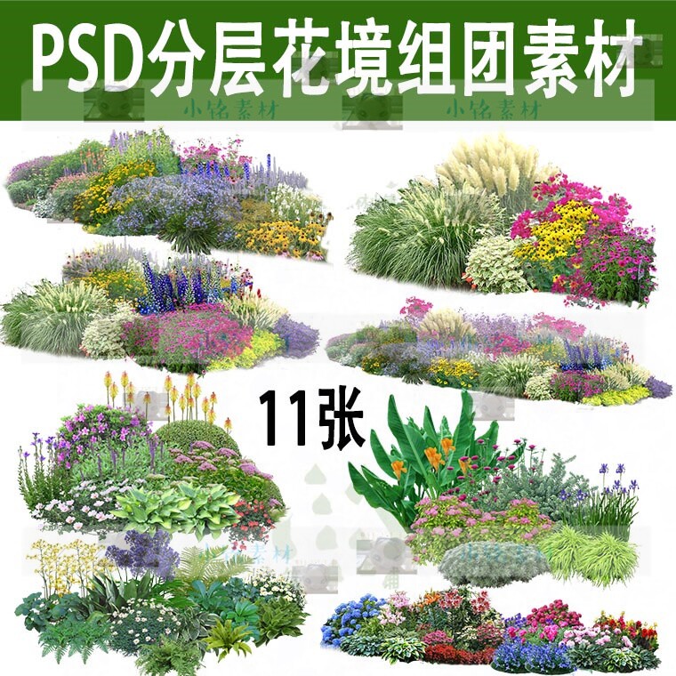花境植物素材,花境植物(第9页)_大山谷图库