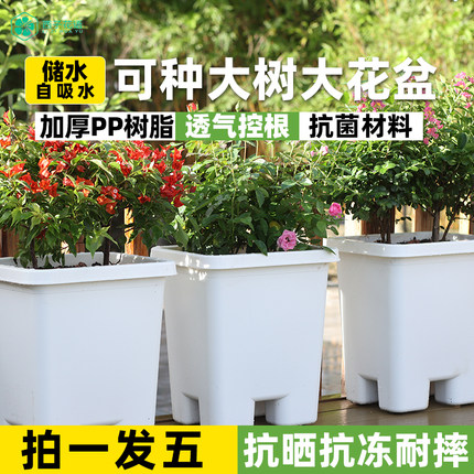 蓝莓种植专用盆塑料加深特大号种菜箱家庭储水种植神器草莓盆栽盆