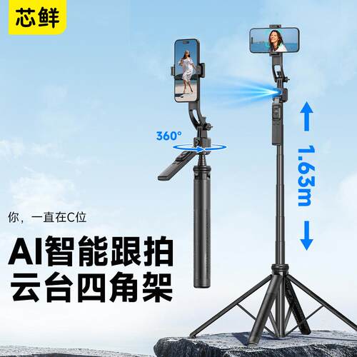 新款C172025自拍神器芯鲜