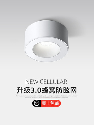 明装射灯单头圆形超薄无主灯玄关过道阳台客厅全光谱护眼斗胆灯