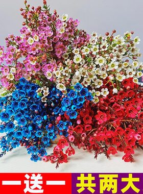 腊梅鲜花云南基地直发红色插水养耐寒鲜切花同城速递年宵花卉盆栽