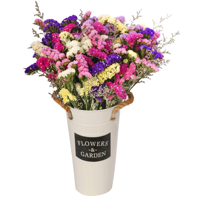 勿忘我干花真花装饰摆件