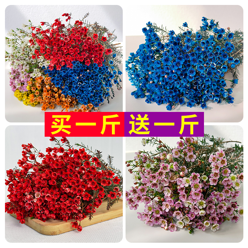 澳洲腊梅鲜花云南基地直发粉色家居插水养冬季同城速递百合鲜花束