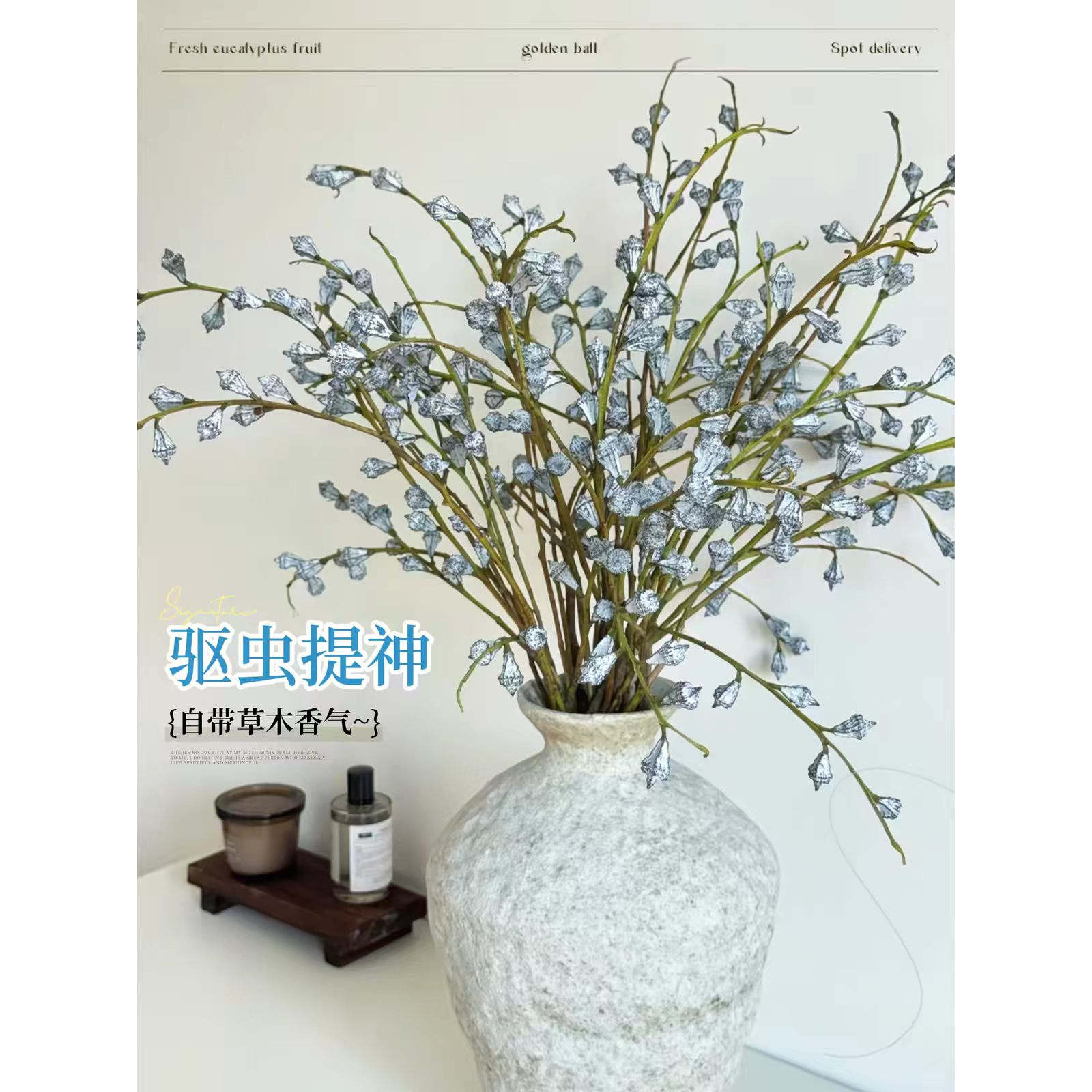 钻石尤加利果绿植鲜切鲜花干花大枝水培装饰云南基地直发室内花材