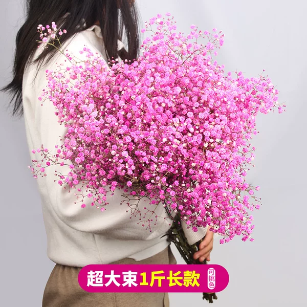 Товары от 花草为伴旗舰店