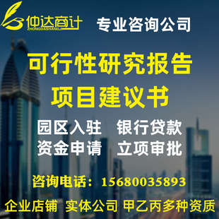 编制可行性研究报告撰写立项项目建议书资金申请可研报告编写代做