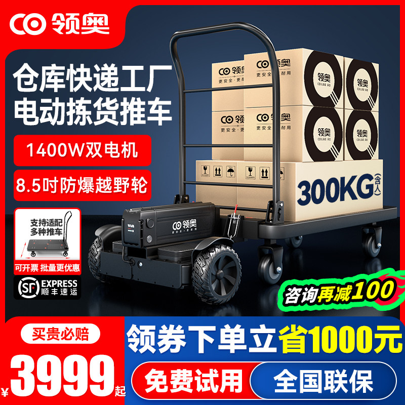 领奥小型电动手推车快递仓库载货搬运代步平衡车神器平板车工具车