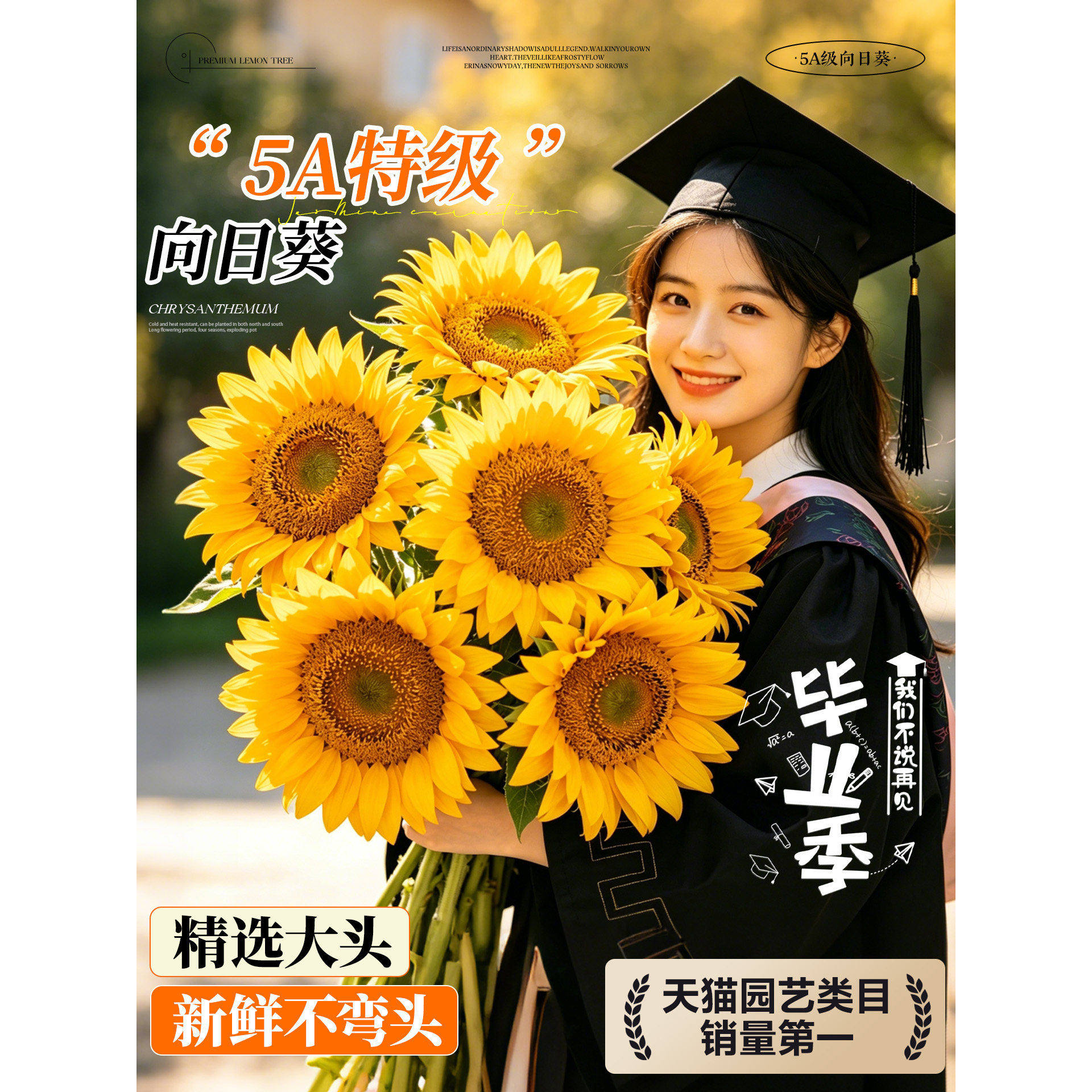 一举夺魁向日葵鲜花云南基地直发大号水培新鲜切花泰迪真花束重瓣