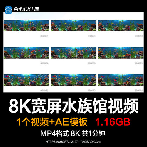 超高清8K宽屏海底世界水族馆热带鱼背景视频巨幕led大屏幕投影