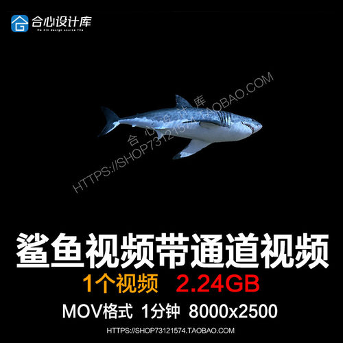 鲨鱼LED显示屏视频素材带通道高清沉浸式超逼真3D全息8K