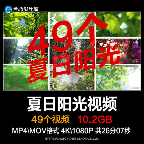 夏日阳光视频透过树叶森林空境升格早晨黄昏清新绿叶风景剪辑素材