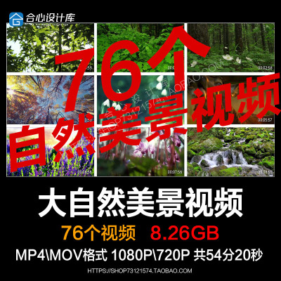 大自然风光 绿色森林树叶阳光草丛流水 丛林植物背景实拍视频素材