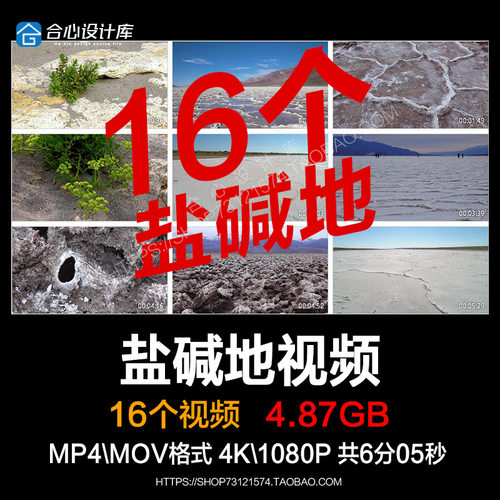 盐碱地高原盐土地冻土层盐化土地自然实拍视频素材