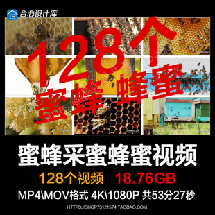 蜜蜂采蜜 液体蜂蜜 块状蜂蜜 蜂窝蜂箱 养蜂业 4K高清视频素材