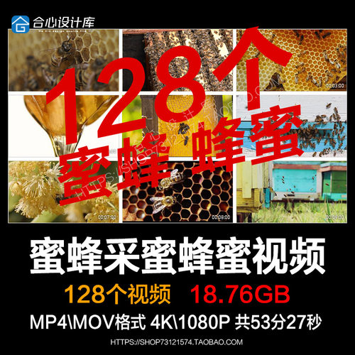 蜜蜂采蜜 液体蜂蜜 块状蜂蜜 蜂窝蜂箱 养蜂业 4K高清视频素材