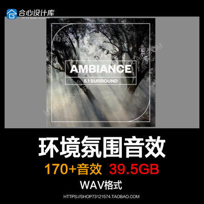 Blastwave FX Ambience 5.1 Surround 实录环境氛围音效影视素材