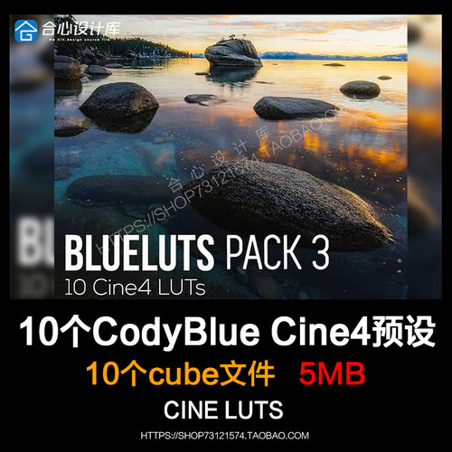 10个油管大神CodyBlue CINE4 2 LUT PACK3索尼调色预设包Pr fcpx