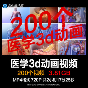 医学3d动画演示高清视频患者宣教心脏心血管功能呼吸系统泌尿系统