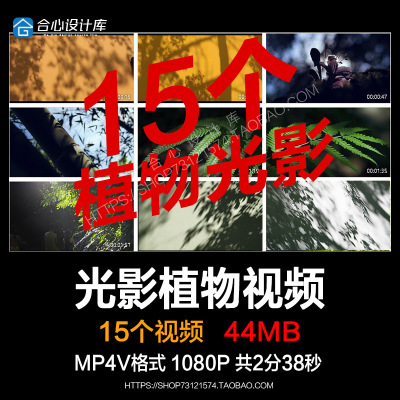 植物光影交错光影斑驳墙面自然阴影树木剪影静谧实拍视频素材