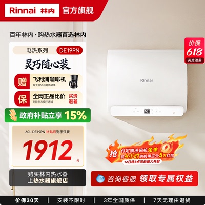 [新品电热]林内电热水器家用一级能效智能储水式速热60升DE19PN