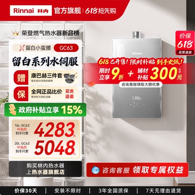 ���� ȼ����ˮ�� JSQ31-GC63 16L ��ɫ ��Ȼ�� ˮ�ŷ�