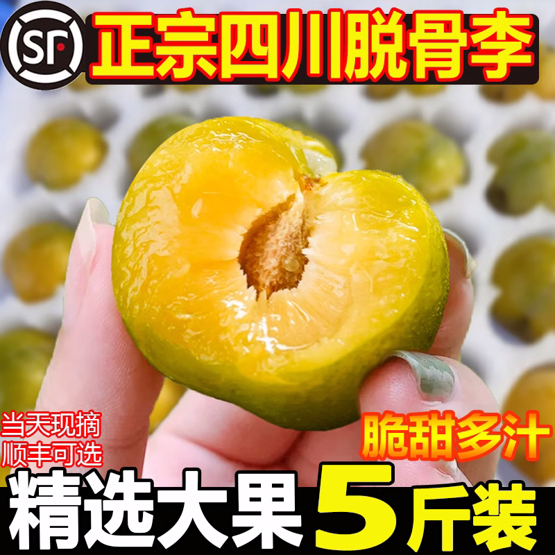 四川脆甜脱骨李子新鲜茵红